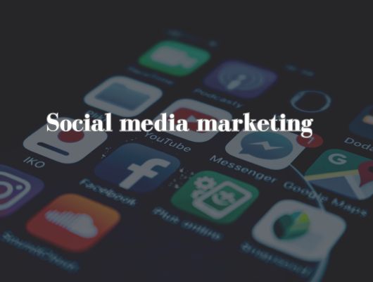 social media marketing in delhi